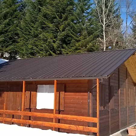 Yoghi E Bubu Camping