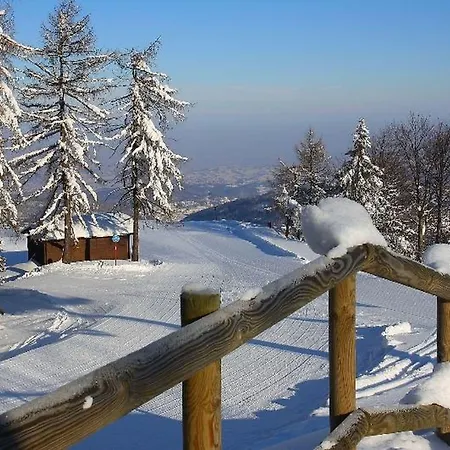 Yoghi E Bubu Kamp alanı