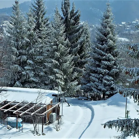 Yoghi E Bubu Κάμπινγκ