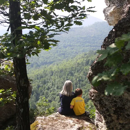 Κάμπινγκ Yoghi E Bubu