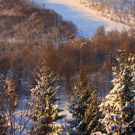 Yoghi E Bubu Camping San Giacomo (Piedmont)