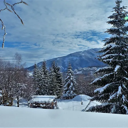 Yoghi E Bubu Κάμπινγκ *