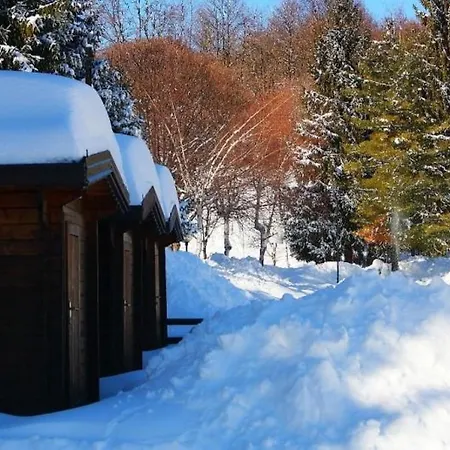 Kamp alanı Yoghi E Bubu